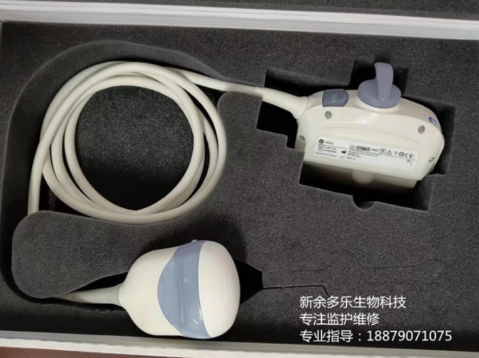 GE超聲波RM6C探頭