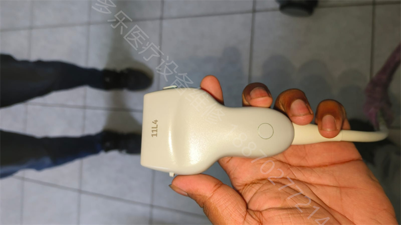 西門子11L4探頭 11361584